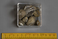 F 01495
<br/>
<br/>
<em></em>